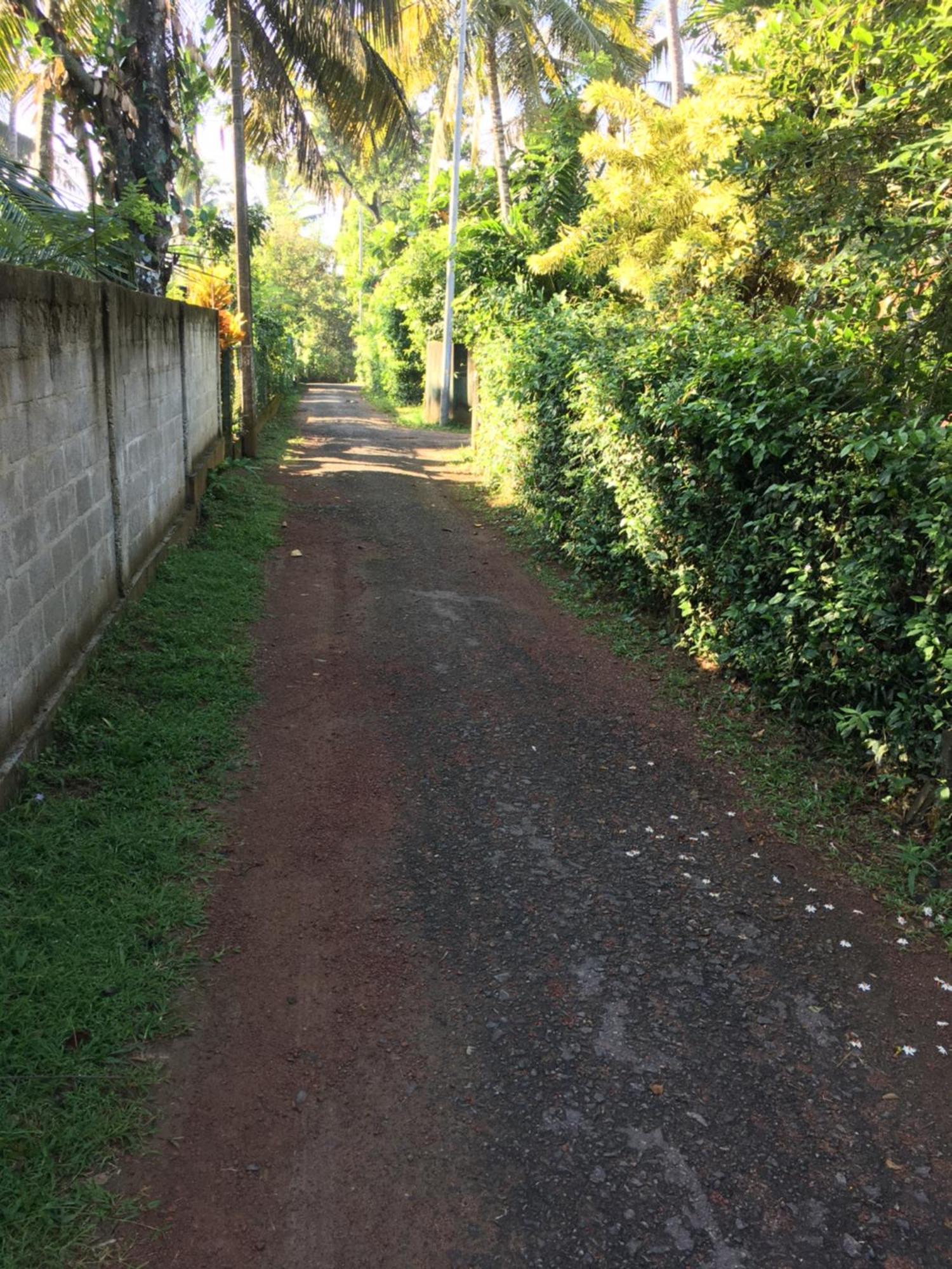Bosadi Homestay Katunayake Exterior photo